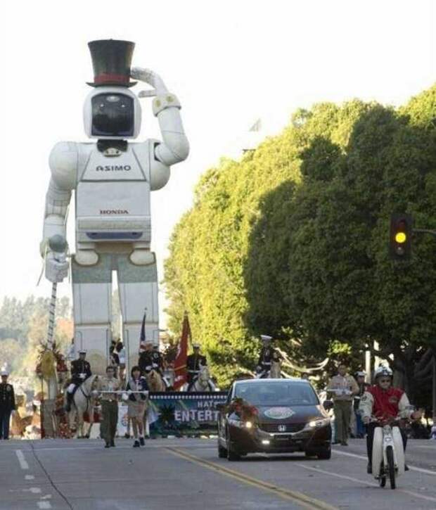 wtf-japan-33