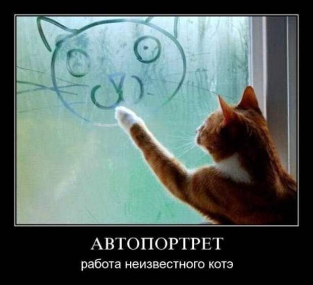 Демотиваторы фото прикольно!
