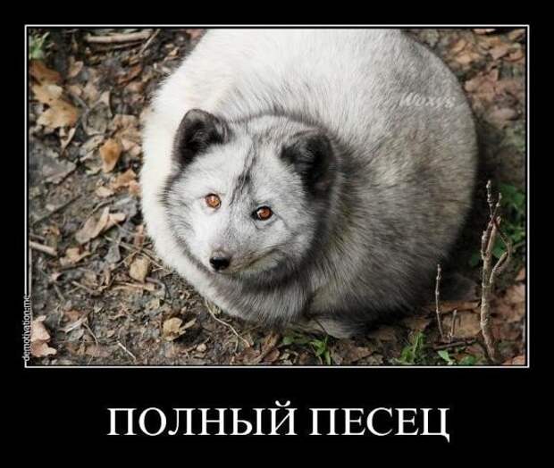 О кризисе для неэкономистов О кризисе для неэкономистов