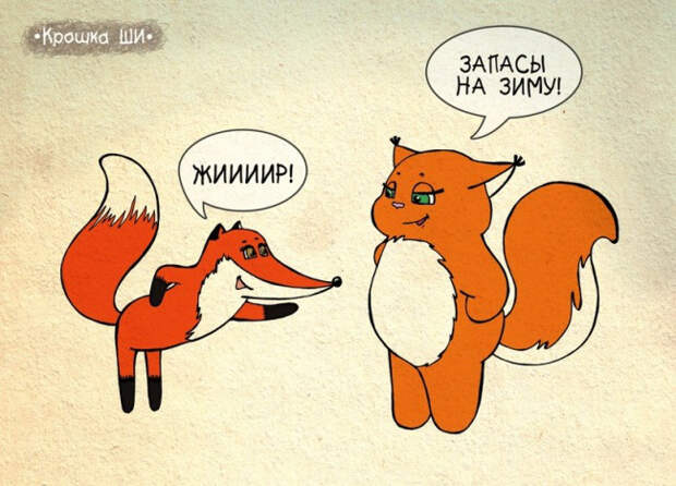 рыжая белочка крошка ши (5)