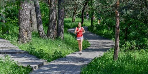 Врачи предупредили москвичей об опасности укусов комаров/ Фото mos.ru