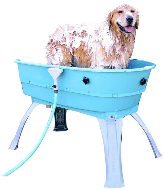 DOG-WASH-TUB