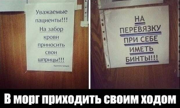 Смешные картинки с подписями  картинки, прикол, юмор