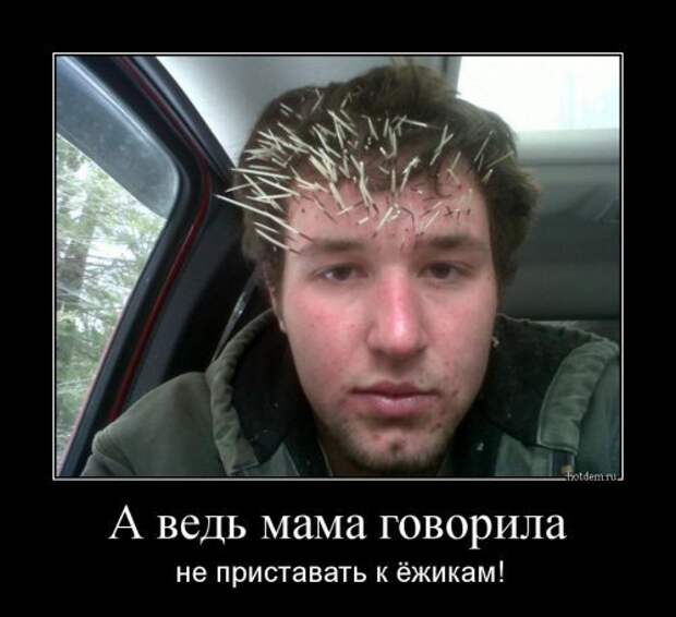 Новая пачка демотиваторов. Смотрим приколы Новая пачка демотиваторов. Смотрим приколы