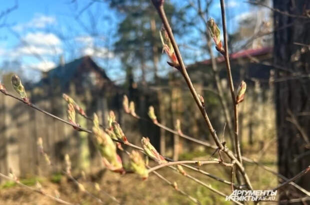 Синоптик Позднякова предсказала похолодание в Москве к концу недели