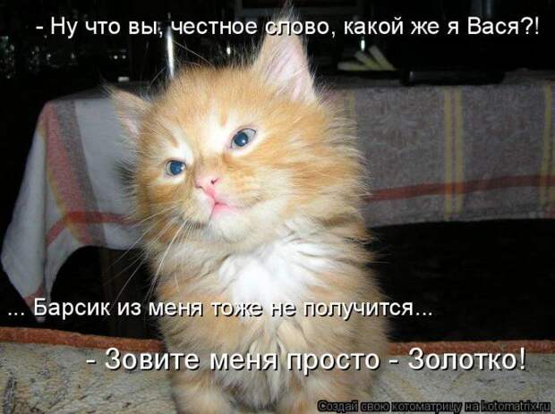 Мысли вслух :)
