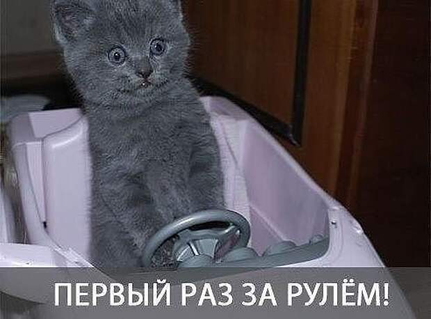 Подборка автоприколов - 7