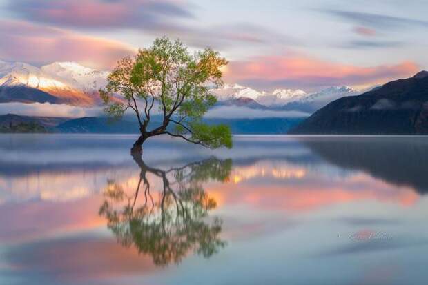 7. Ванака, Новая Зеландия вокруг света, пейзажи, природа, путешествия, снимки, фотографии