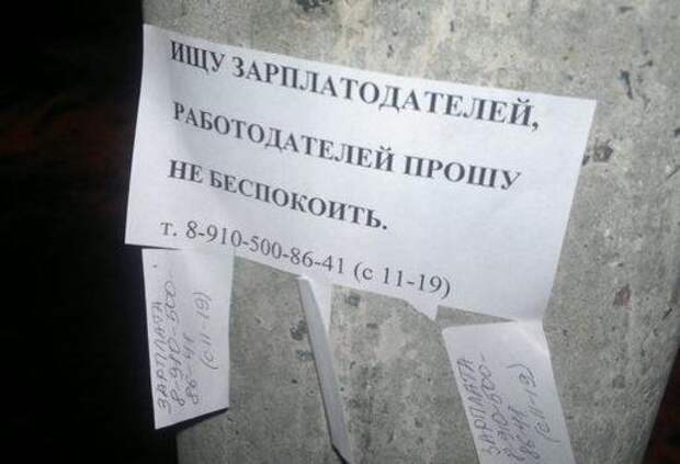 Смешные надписи и объявления  надписи, объявления, смешные