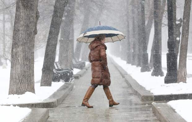 Москвичам пообещали температурную аномалию в феврале