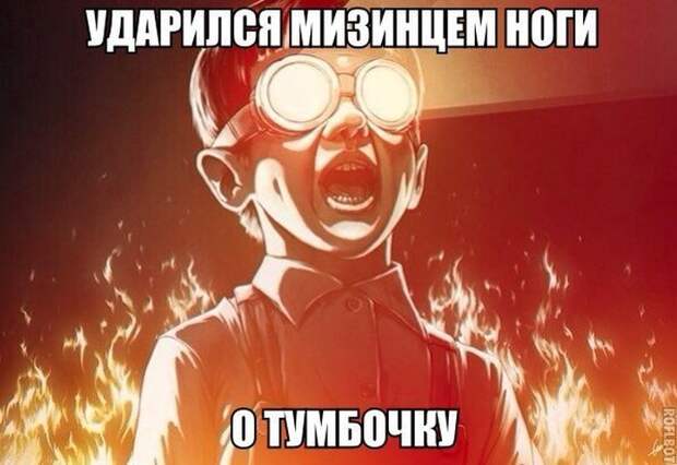 Смешные картинки с подписями катинки, прикол, юмор