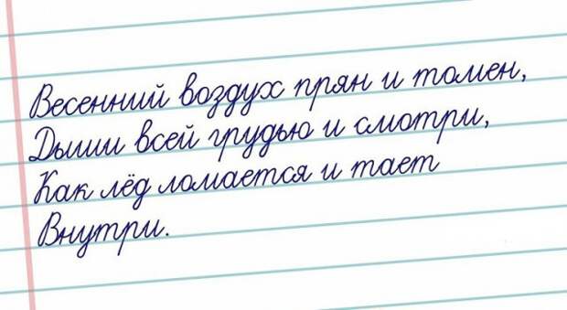 Странный юмор Странный юмор открытки, юмор
