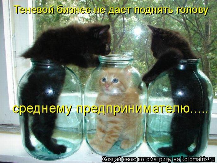 Мысли вслух :)