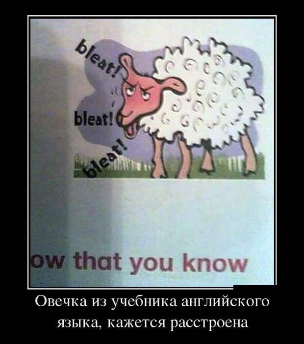 Демотиваторы (30 фото)