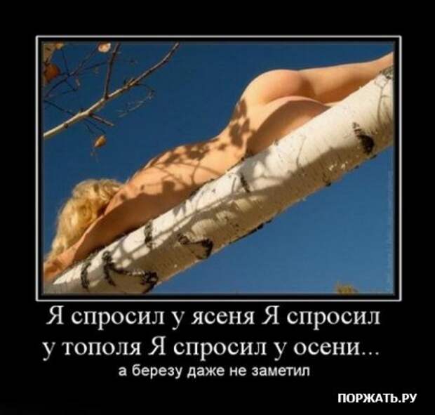 Ржачные демотиваторы к понедельнику