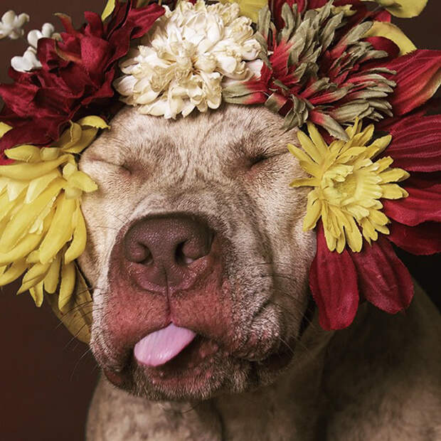 Flower Power