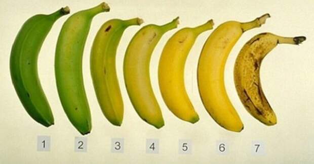 Есть или не есть: какой секрет хранят почерневшие бананы. Польза, о которой ты не знал…