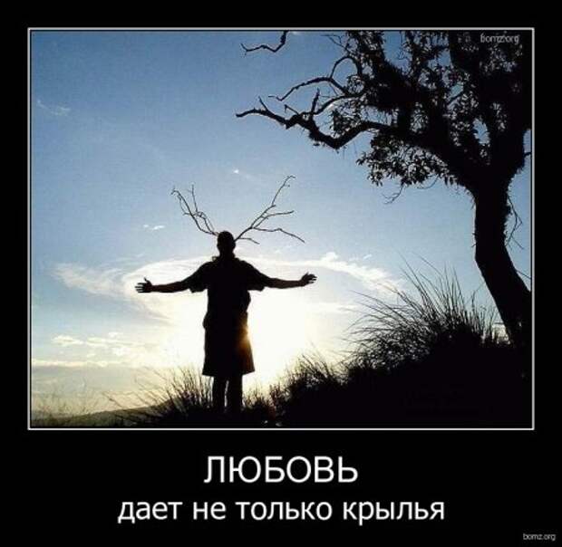 Демотиваторы, приколы без особого смысла.