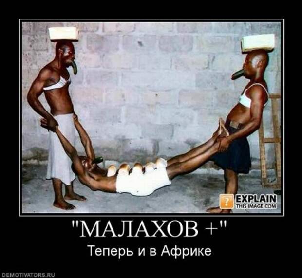 Демотиваторы прикольные ржачные.