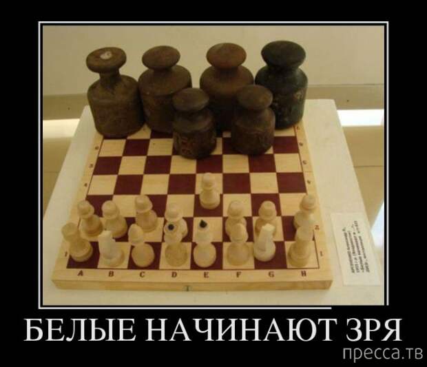 Самые злобные демотиваторы, часть 133 (30 фото)