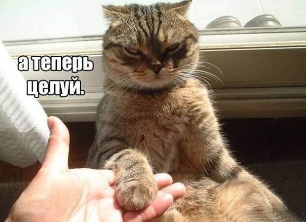 Всяко - разно 13 ))) Всяко - разно 13 )))