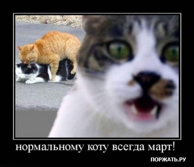 Демотиваторы по русски, очень остроумно.