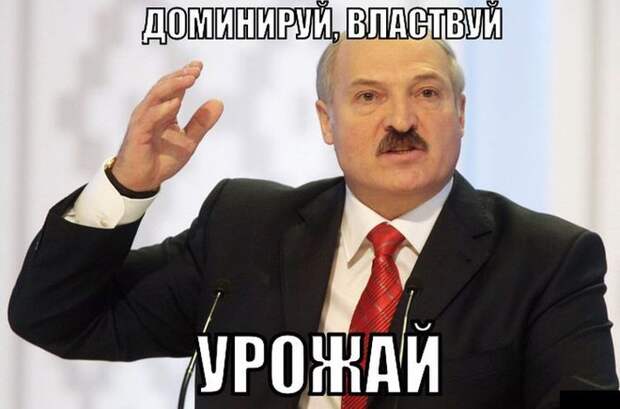 Доминируй, властвуй, унижай! фото, юмор