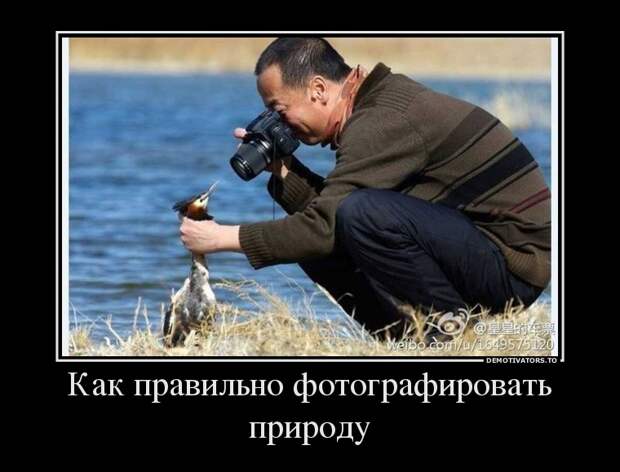 Демотиваторы демотиваторы, прикол, смех, юмор