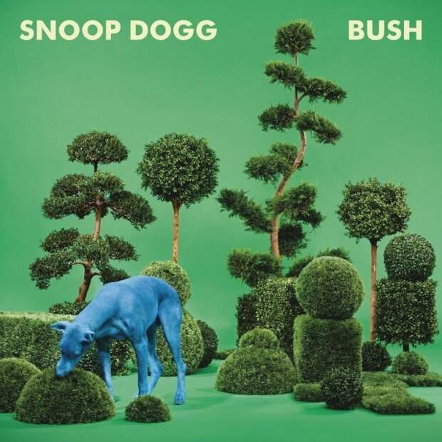 Snoop Dogg – «Bush» 