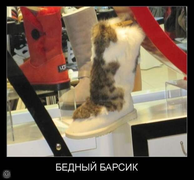 У каждого своя Олимпиада 22