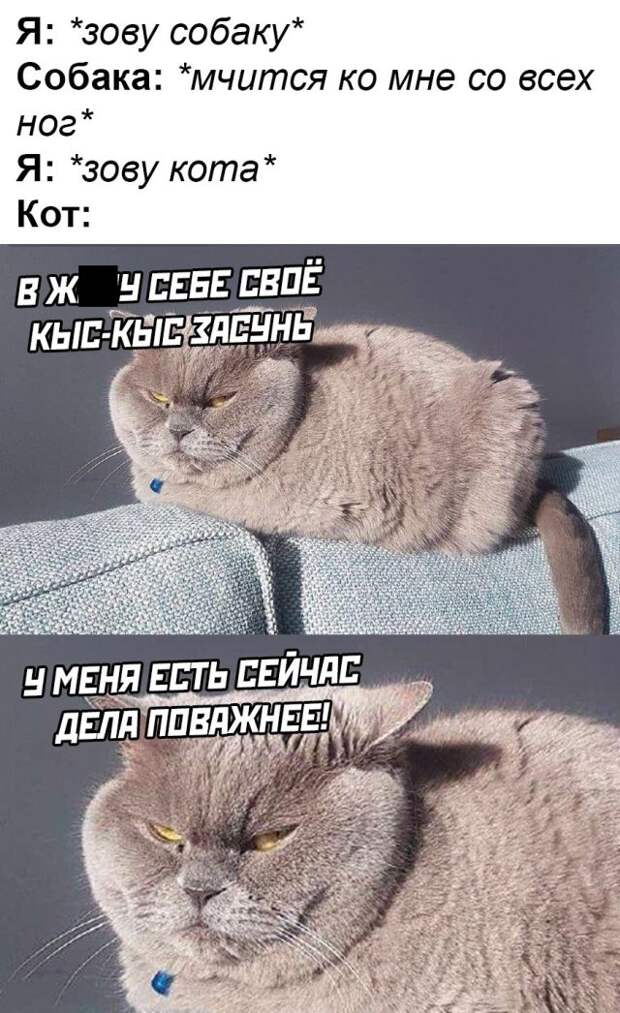 www.vsyako.net