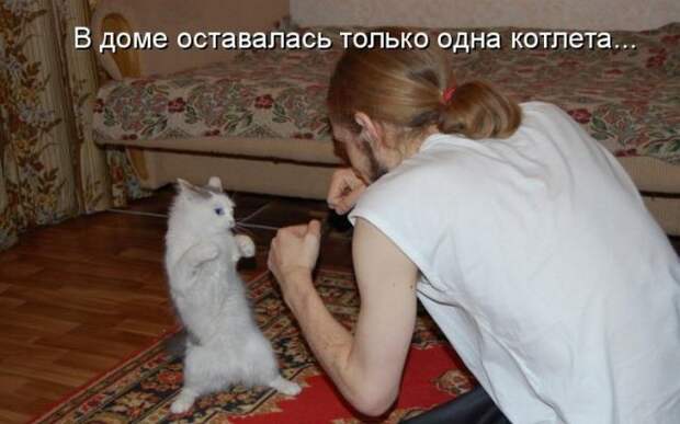животные