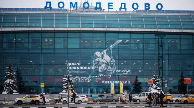 Работу аэропортов Домодедово и Жуковский временно ограничили