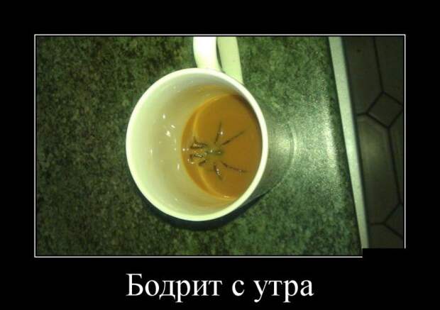 Демотиваторы (30 фото)