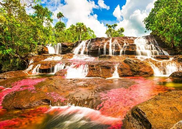 Каньо-Кристалес, разноцветная река в Колумбии, река пяти цветов, радужная река, красивый водопад