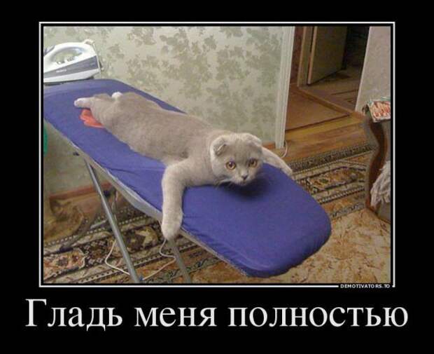 Демотиваторы демотиваторы, прикол, смех, юмор