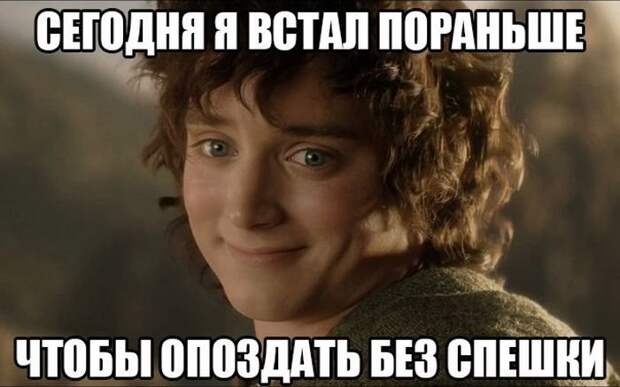 Прикольные и смешные фото девушки, животные, коты, прикол, юмор