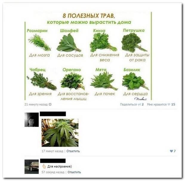 Приколы из соцсетей
