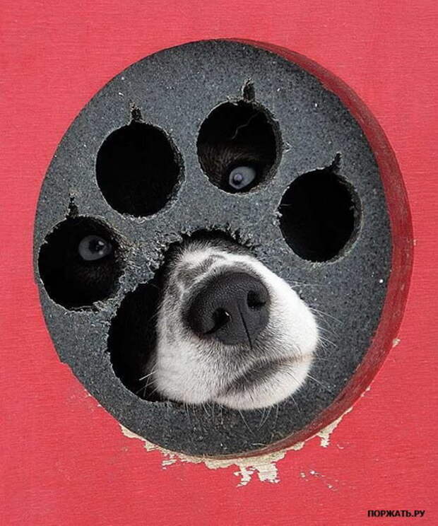 Фотоприколы с вконтакте.