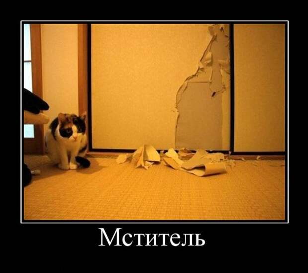 Демотиваторы демотиваторы, прикол, смех, юмор