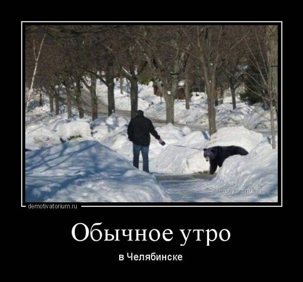 Подборка ржачных фото-приколов (50 фото)