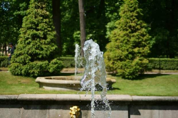 Поездка в Питер Санкт - Петербург, питер, фото отчет