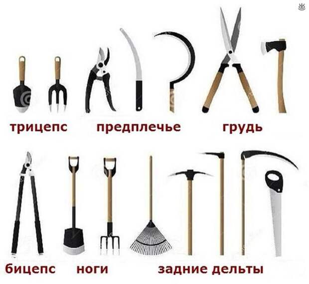 Повседневность в курьёзах 5