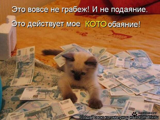 Клёвые отрывные котоматрицы (30 фото)