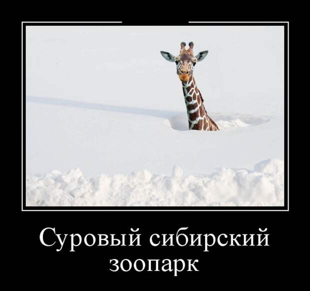 Демотиваторы (30 фото) Демотиваторы (30 фото)