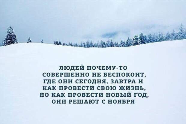 А ведь скоро Новый Год!