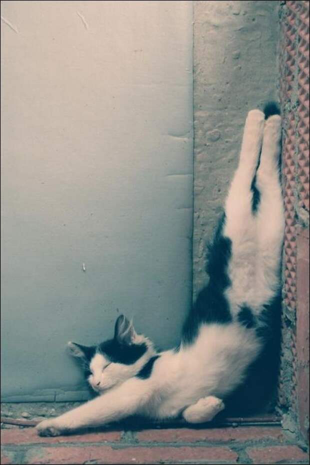 Приколы