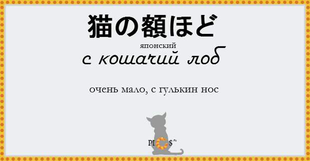 catidiom01