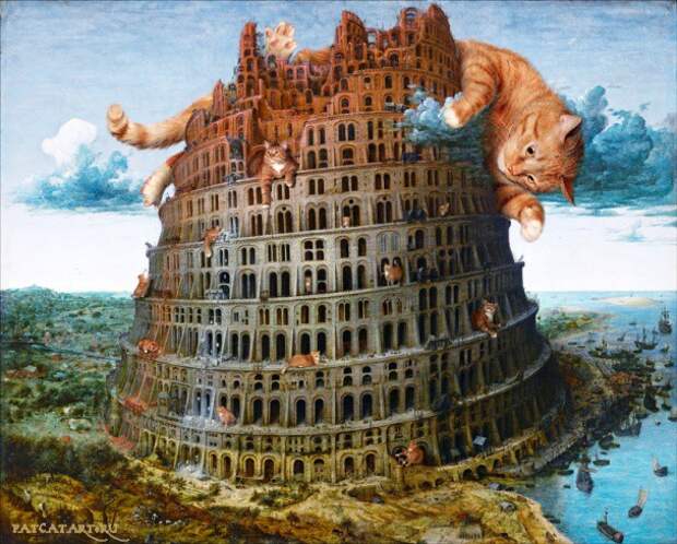 Котострофа коты, один дома