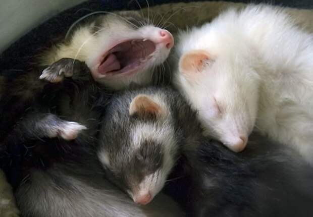 Прикольные картинки абавсём:D Прикольные картинки абавсём:D